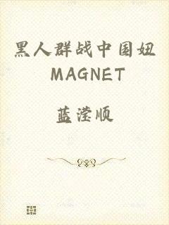 黑人群战中国妞 MAGNET